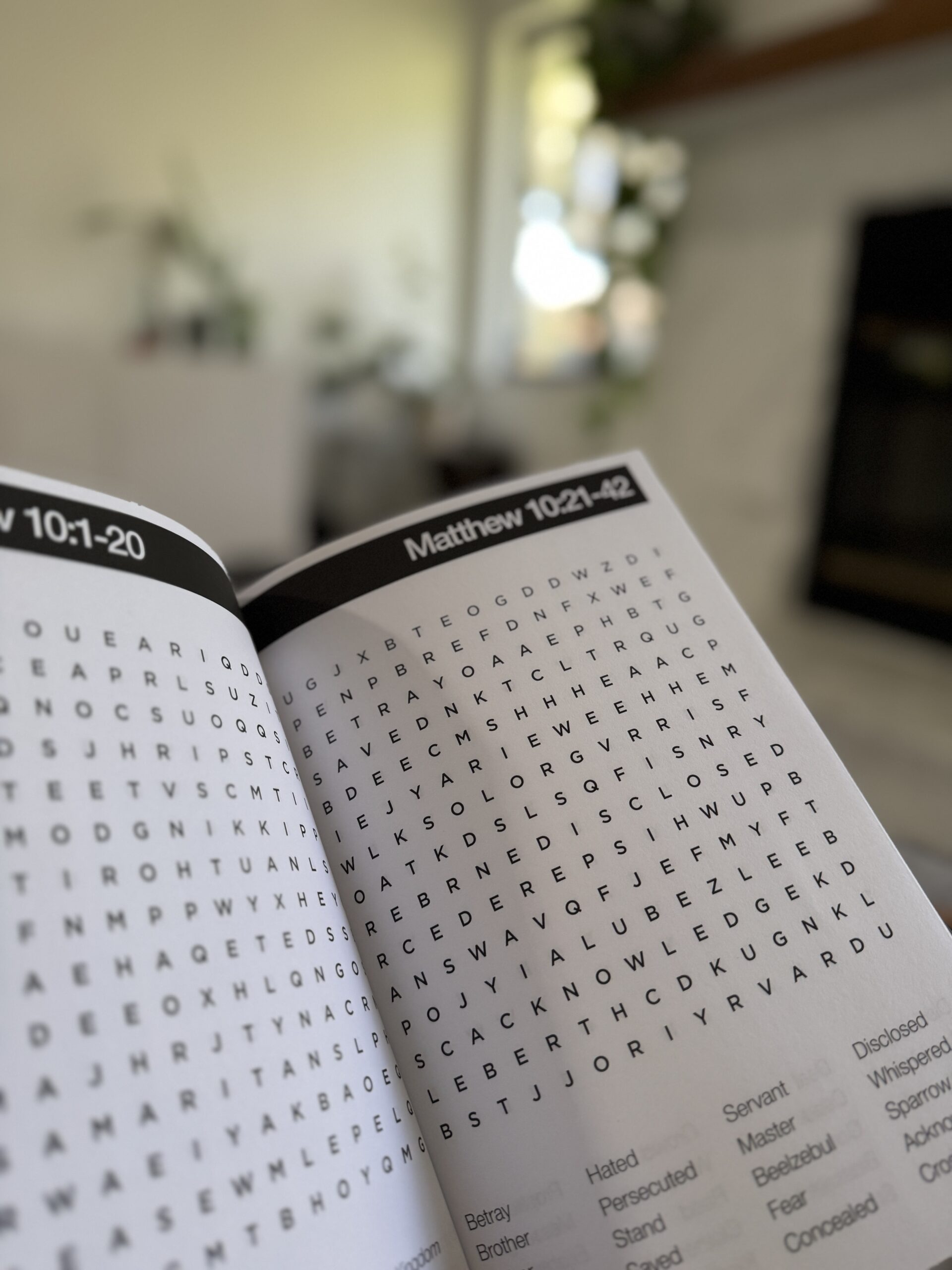 Book of Matthew Bible Word Search Puzzle Book – Christian word search activity book featuring Scripture-based puzzles Book of Matthew Bible Word Search Puzzle Book – Christian word search activity book featuring Scripture-based puzzles
