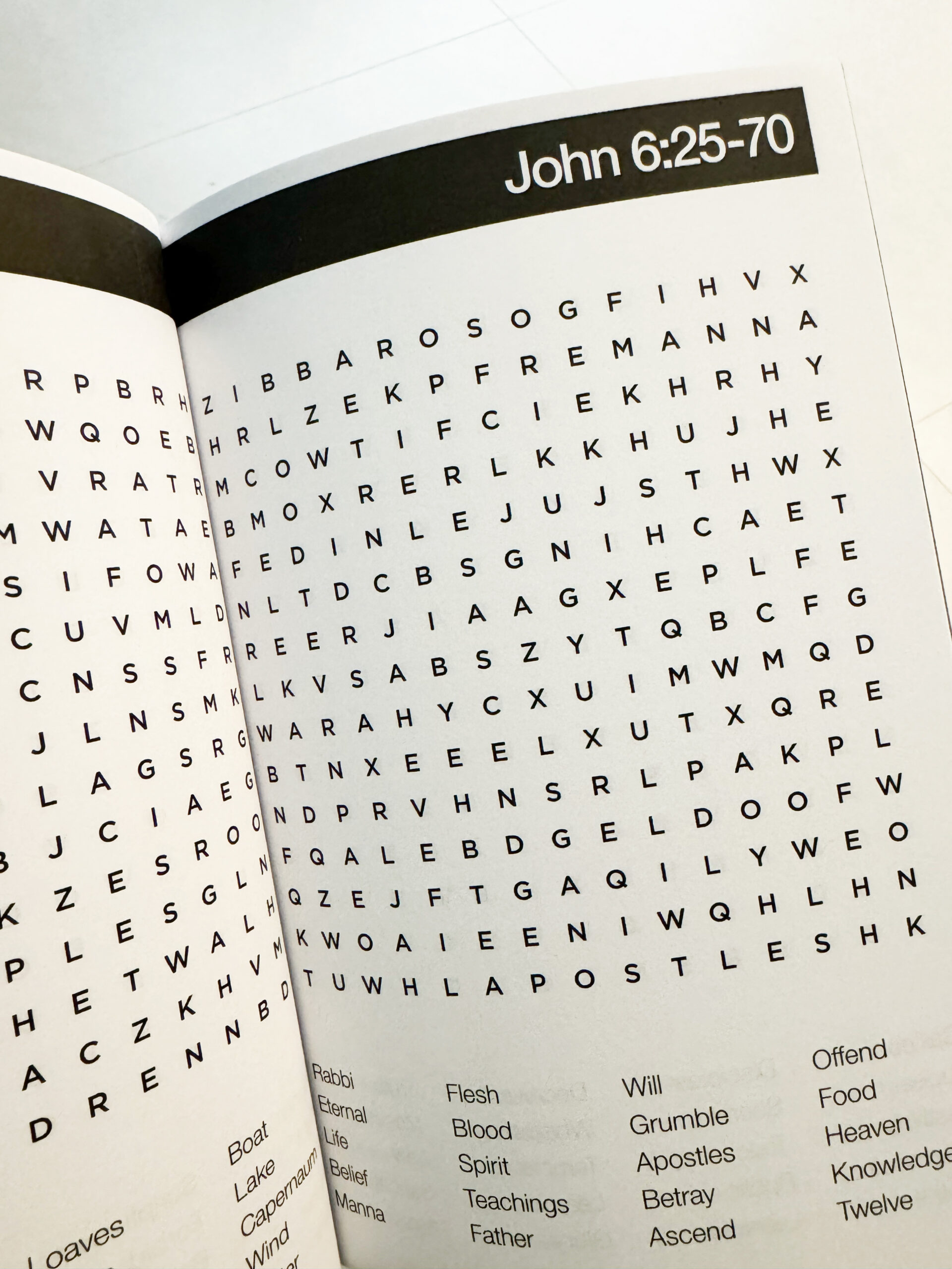 The Gospel of John Bible Word Search Puzzle Book Inside Pages