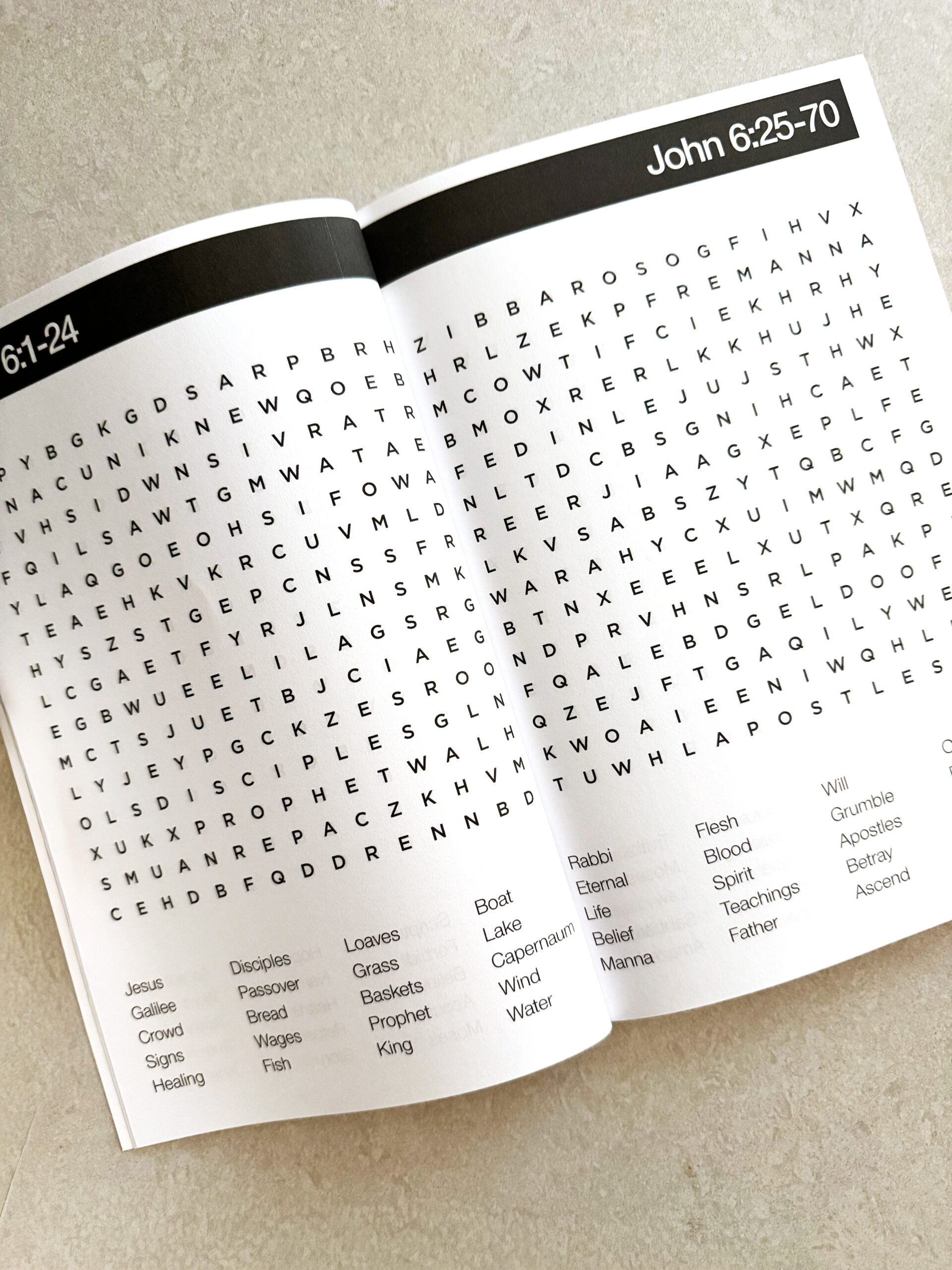The Gospel of John Bible Word Search Puzzle Book Inside Pages