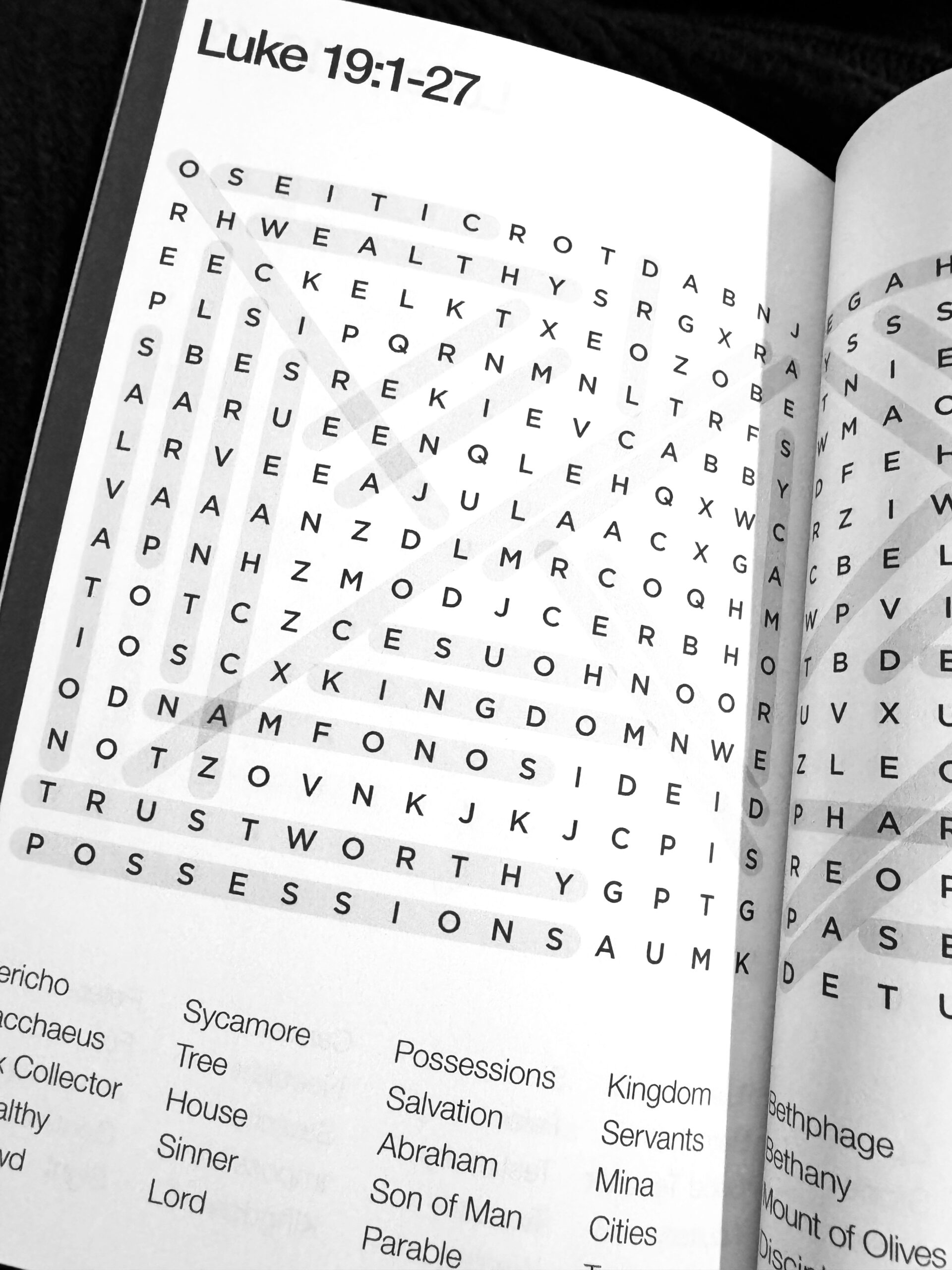 The Gospel of Luke Bible Word Search Puzzle book 