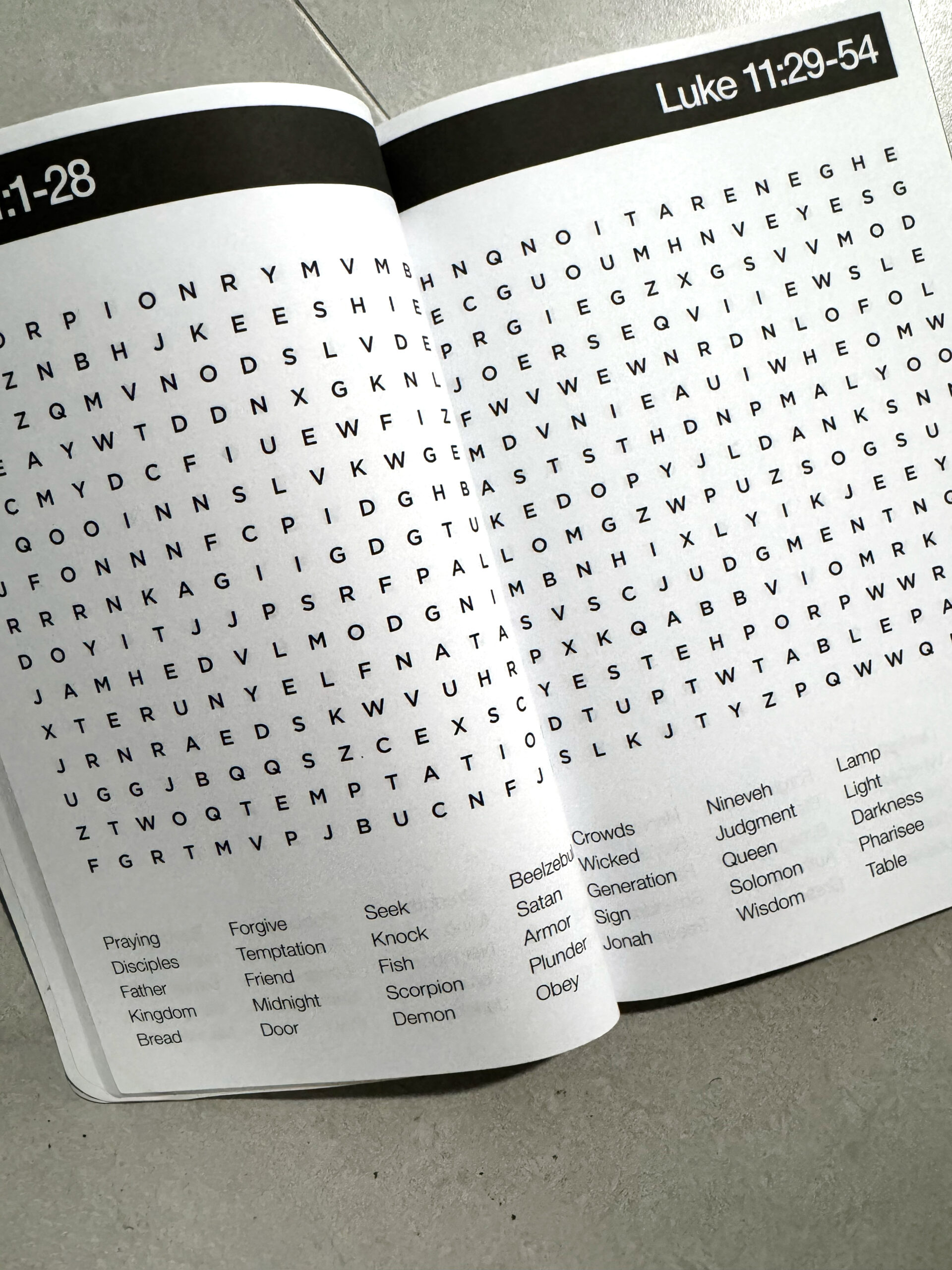 The Gospel of Luke Bible Word Search Puzzle Book Inside Pages